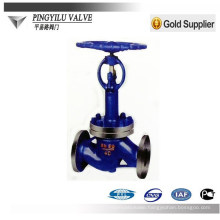 pressure globe valve DJ41Y-16